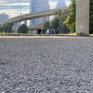 Meet your Posher, William